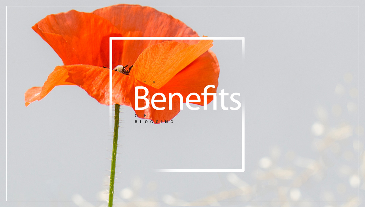 Benefits of Blogging – Start with a Free Theme