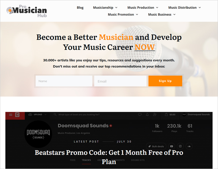 promusicianhub.com