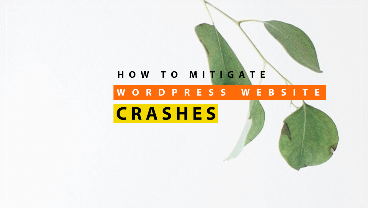 How to Mitigate WordPress Website Crashes