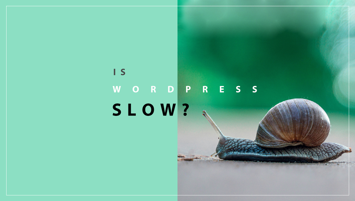 Think WordPress is Slow? It Might Be Your Developer