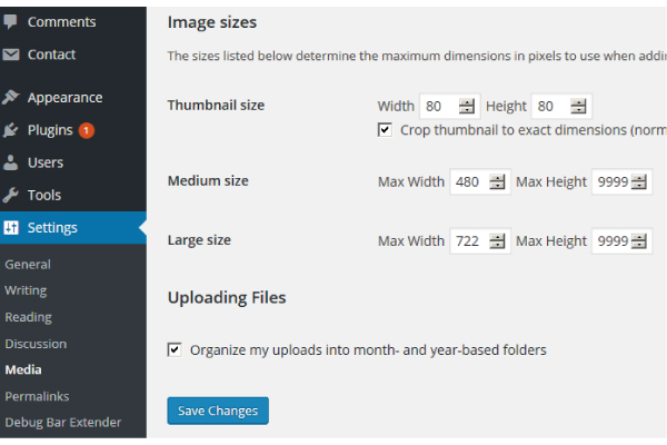 Settings Media Screen in WP theme