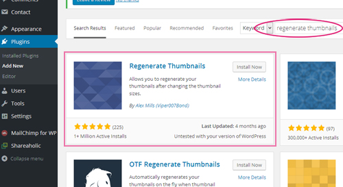 Plugins installation in free WP theme