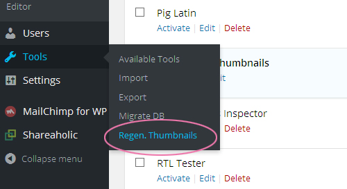 WordPress plugins installation