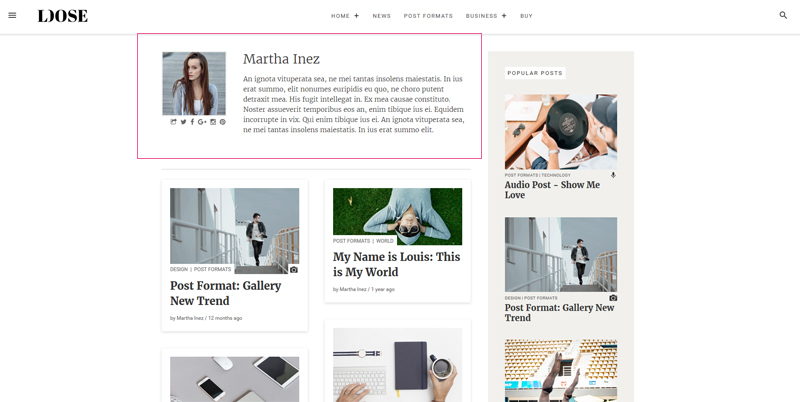 Users in free WP theme