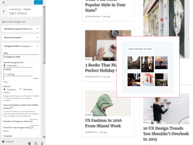 WordPress theme for free - instagram settings