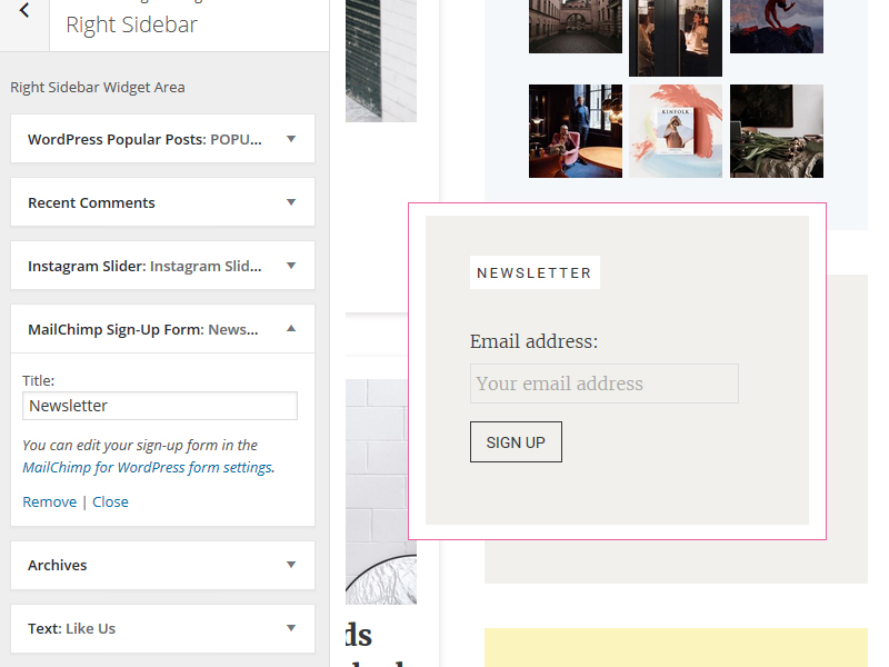 WordPress free theme with newsletter