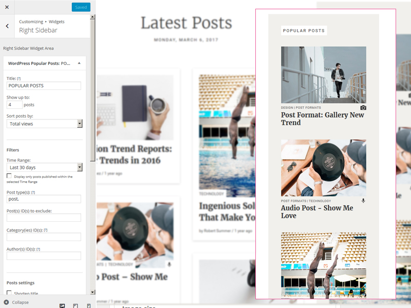 WordPress theme - sidebar settings