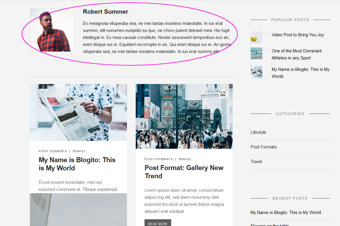 Users in Free WP theme