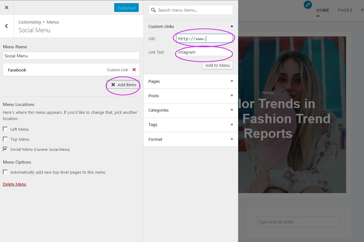 Social Menu in free WP theme