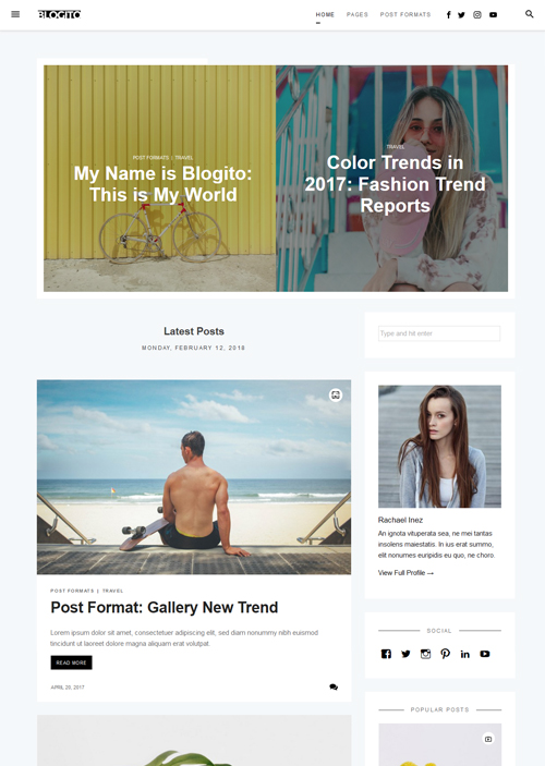 Free WP theme - slider settings