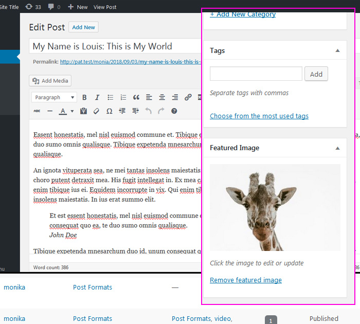 The best free Blog template Where to find Featured image in WordPress