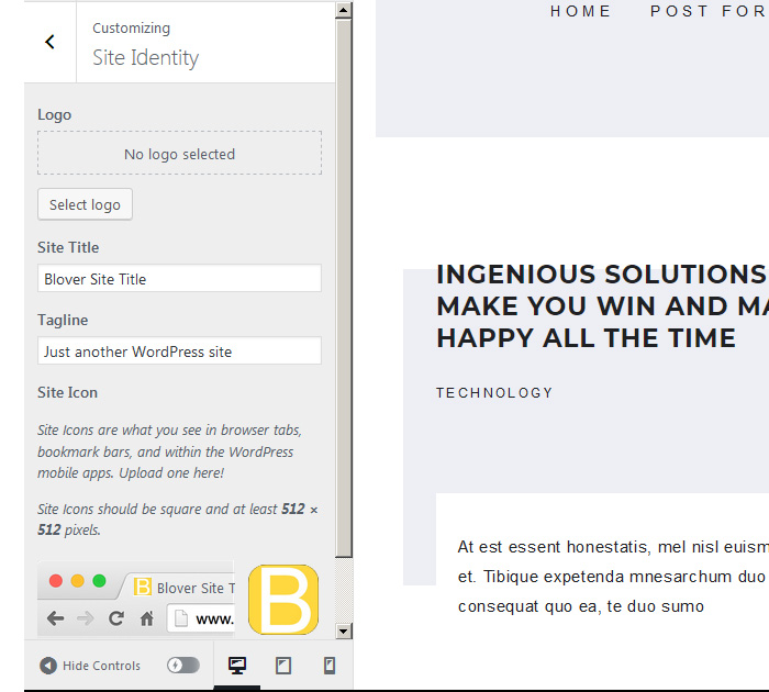Setting up Logo in Boyo WordPress theme Boyo free WP template - logo settings