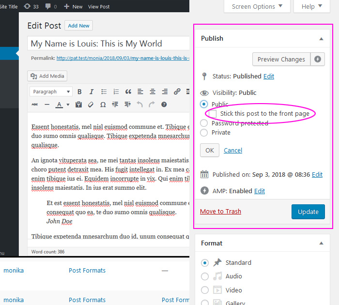 WordPress theme for bloggers Highlighted posts in WP theme