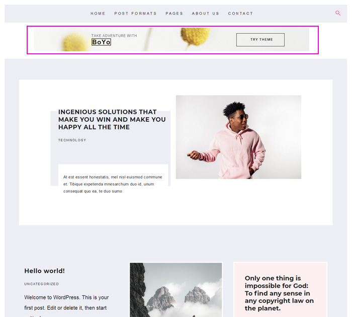 Widgets Areas in Boyo free WordPresss theme for blog Top widget in Boyo WordPress theme