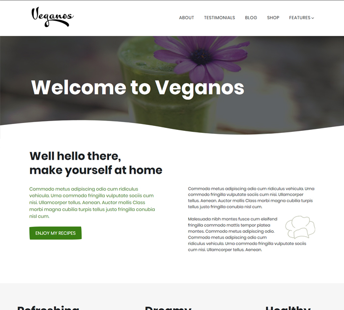 How to start food blog