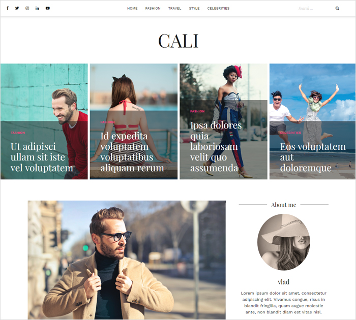 Best Lifestyle blog themes