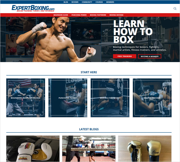expertboxing.com