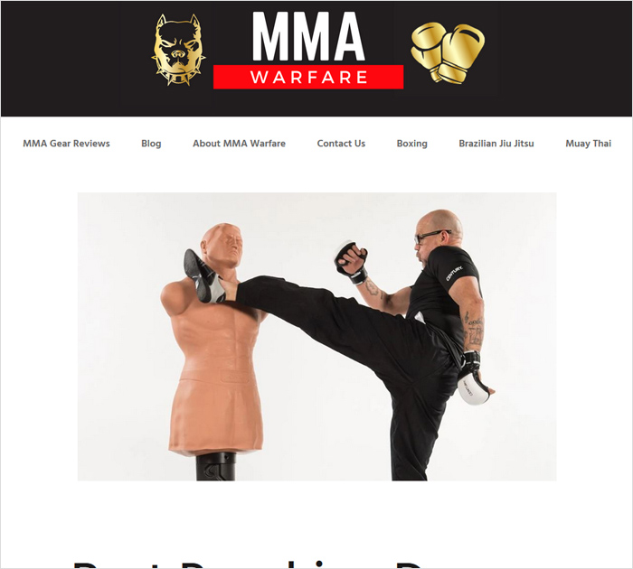 mmawarfare.com - best sports blogs