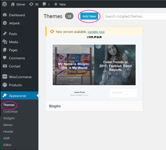 Theme Installation - how to start