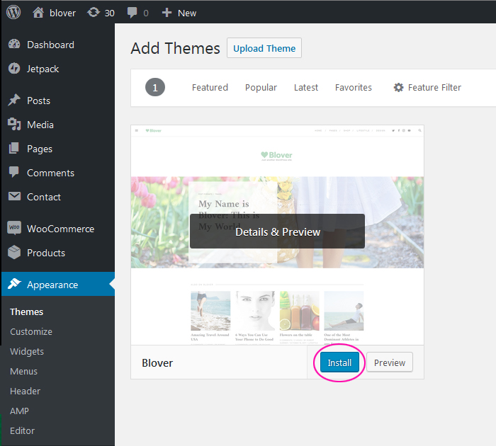 Theme installation with WordPress