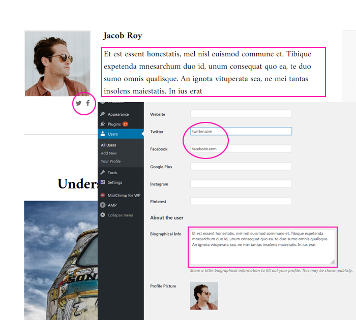 User SocialProfiles plugin