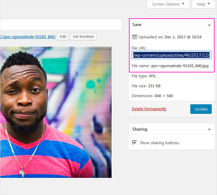 WordPress for beginers - how to start a blog with free Blover theme