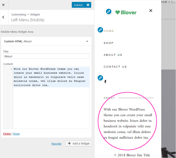 How to add text with custom HTML widget