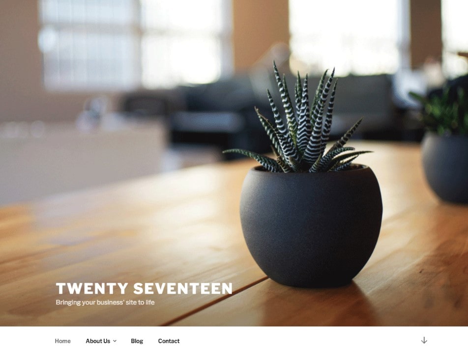 Twenty seventeen theme preview