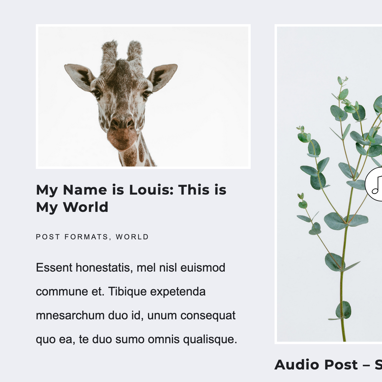 Boyo theme blog page layout