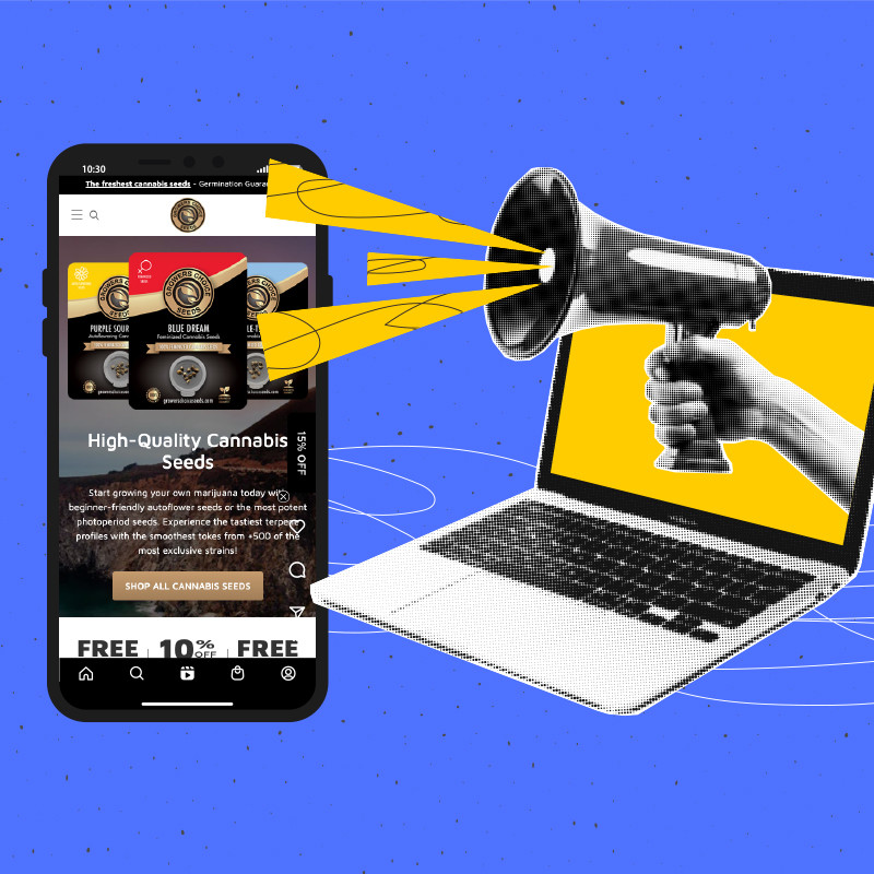 Helping Growers Choice Seeds build a reliable and scalable e-commerce platform