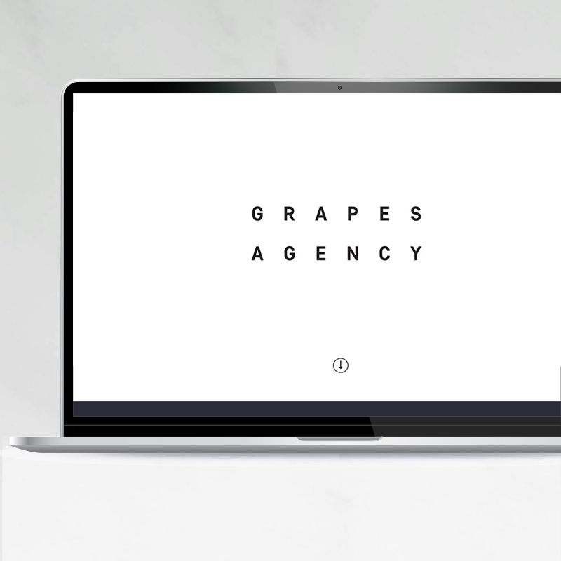 Grapes Agency: one-page brand identity & web design for fashion intermediaries